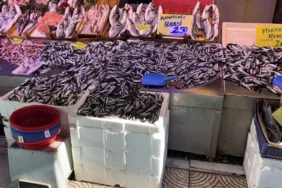 eskişehir’de yılbaşı öncesi balık tezgahlarında yoğunluk arttı