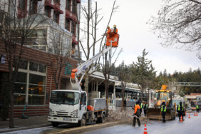 Büyükşehirden kent merkezinde kış budaması