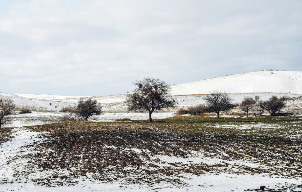 Kar yağışı tarımı kurtardı mı? Eskişehir için kritik tablo ortaya çıktı