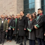 WhatsApp Image 2026-02-09 at 15.48.16