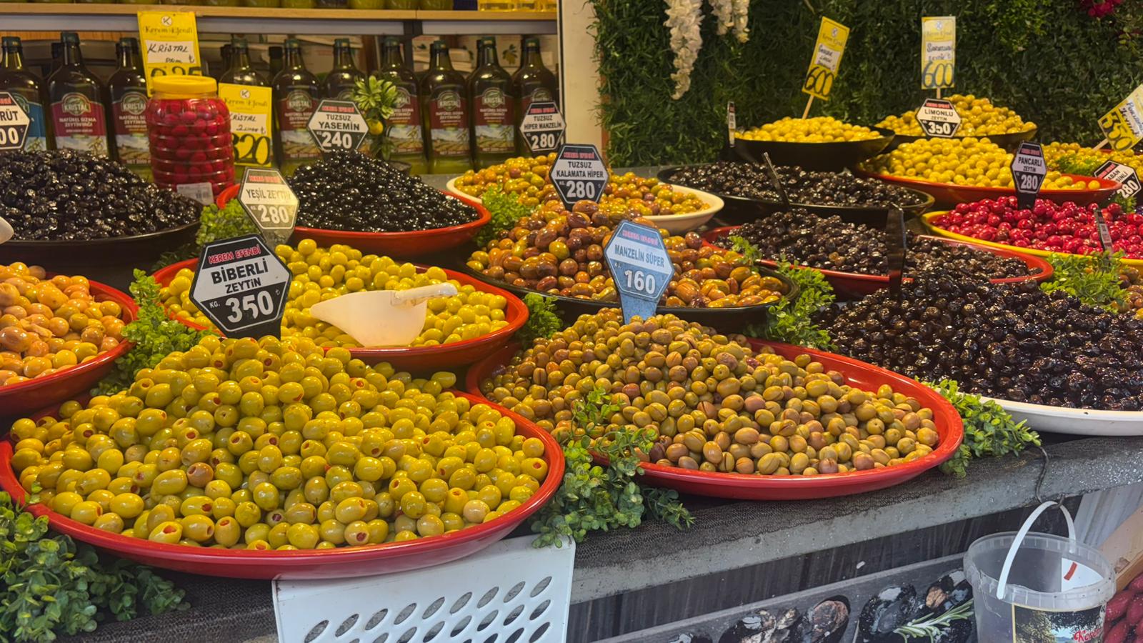 WhatsApp Image 2026-02-16 at 12.06.25