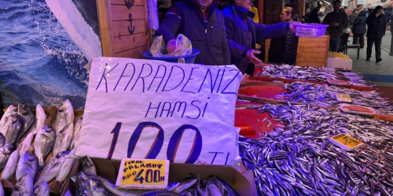 whatsapp image 2026-02-19 at 08.44.12