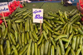 Salatalık fiyatları üç haneli rakamların altına inmek bilmiyor 116 whatsapp image 2026-02-23 at 15.53.17