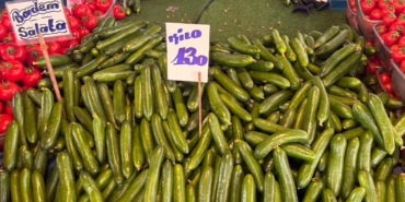 whatsapp image 2026-02-23 at 15.53.17