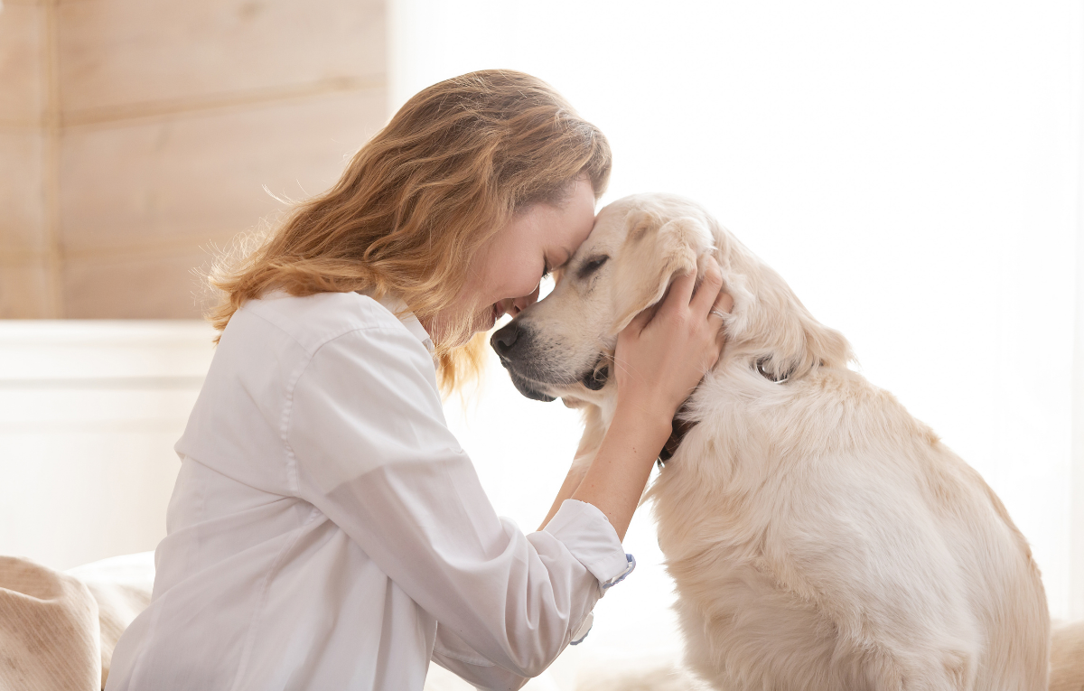 Eskişehir'de evcil hayvan sahiplerine önemli uyarı 5 haber-görseli (68)