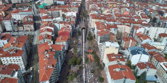 Hamamyolu Caddesi’nde ağaç budama çalışması başlıyor
