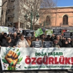 whatsapp image 2026-03-01 at 13.55.14