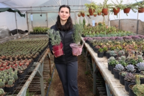 eskisehir-buyuksehir-belediyesi-fatma-nur-celik-ogretmen-anma-cicek-dikimi