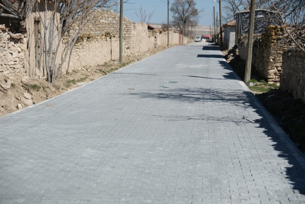 sivrihisar belediye baskani habil dokmeci ve yardimcisi mehmet tas saha incelemesi2